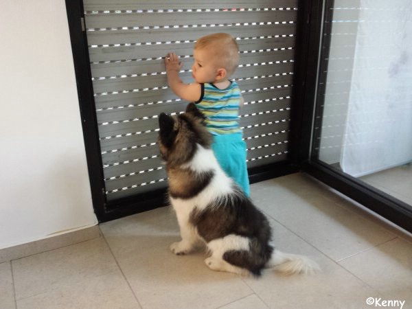 Kenny im neuen Zuhause
