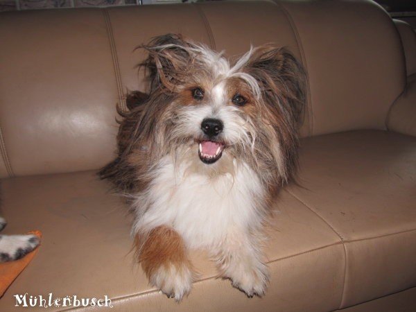 Bad Hair Day?