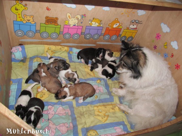 Besuch der Ur-Ur-Oma