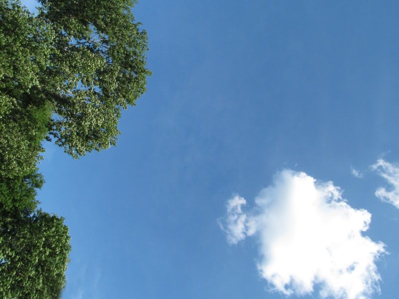 Erster Ausflug der K-chen in den Garten