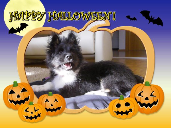 Lando wünscht Happy Halloween!