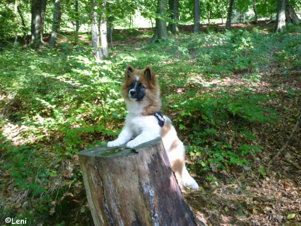 Fotos von Leni