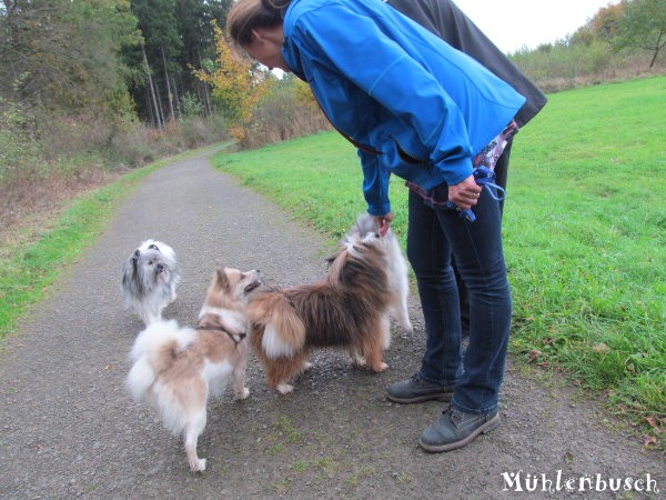 Spaziergang in Remscheid
