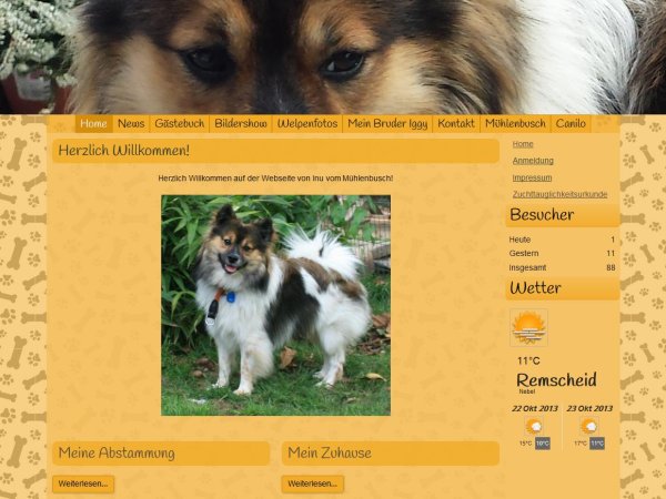 Inu und Iggy haben eine Webseite