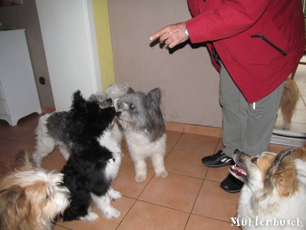 Lando zu Besuch