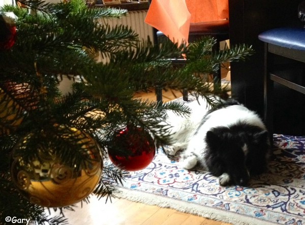 Wir warten auf’s Christkind