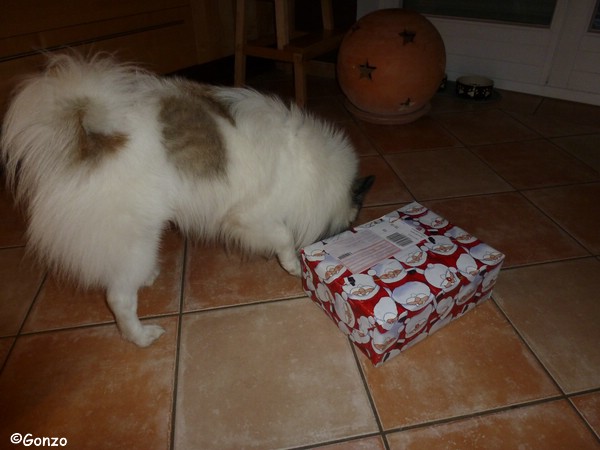 Nikolaus Wichteln Teil 2