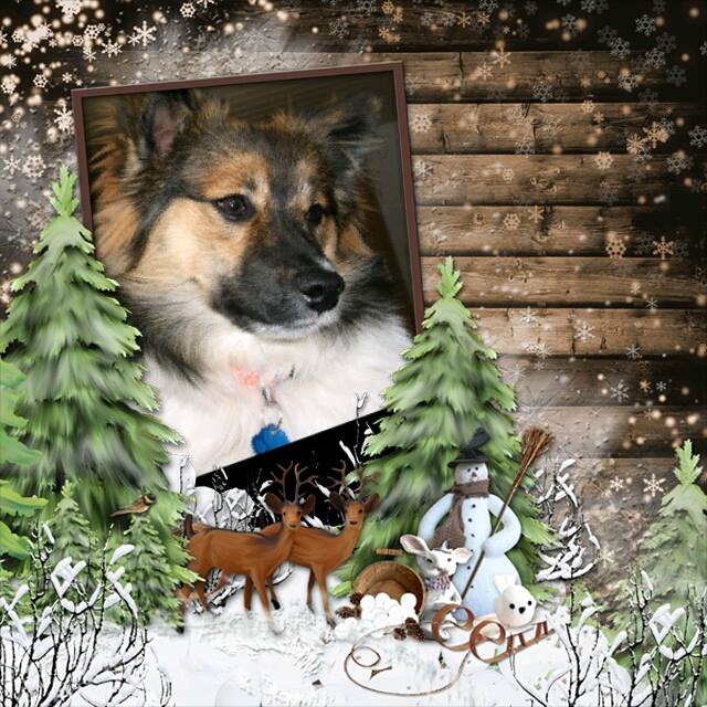 Inu wünscht ein Frohes Fest!