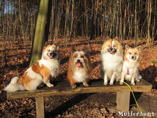 Spaziergang bei Wintersonne