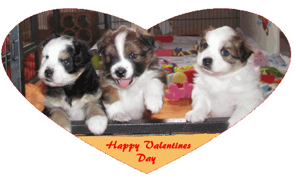 Happy Valentine