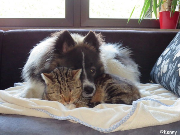 Neue Bilder von Kenny