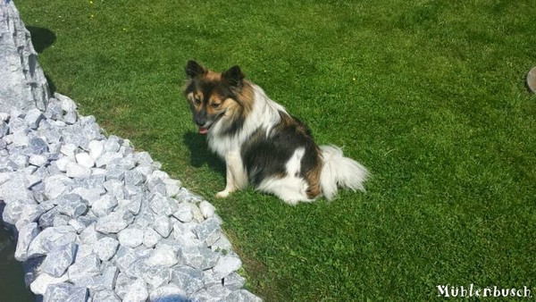 Besuch bei Inu und Familie