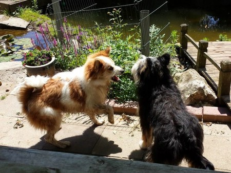 Mary-Lou zu Besuch