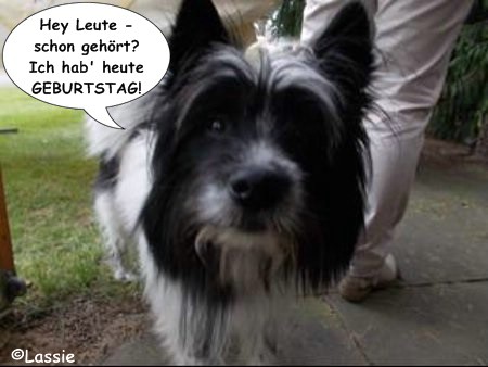 Lassie feiert eine Pool Party mit Barbecue