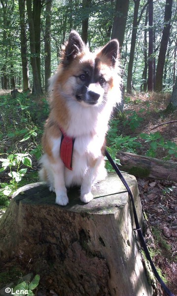 Lena im Kellerwald am Edersee