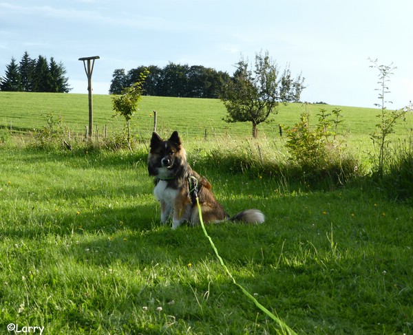 Larry im Urlaub