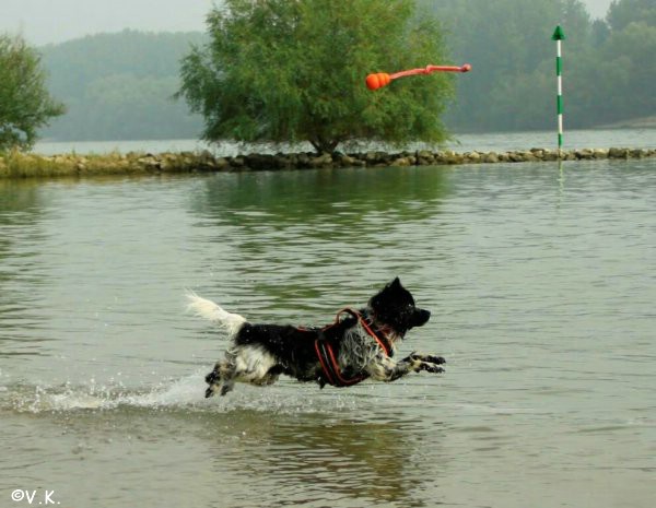 Linus am Rhein