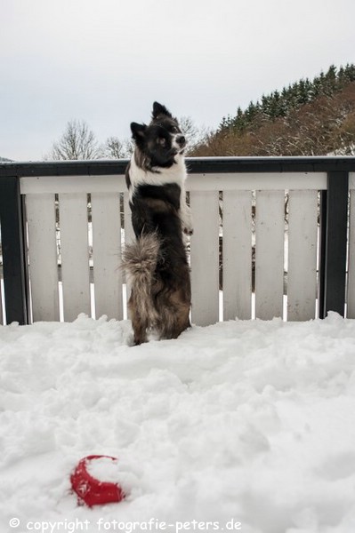 Kleos Winter