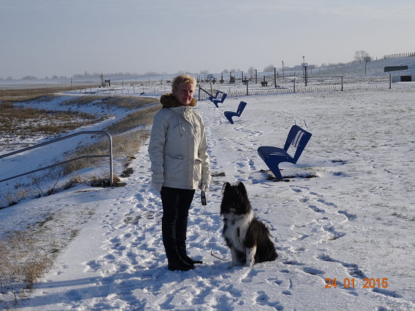 Lando im Nordseeurlaub