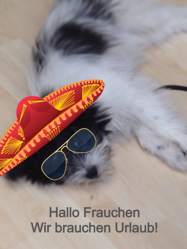 Nami sendet Grüße aus der Schweiz