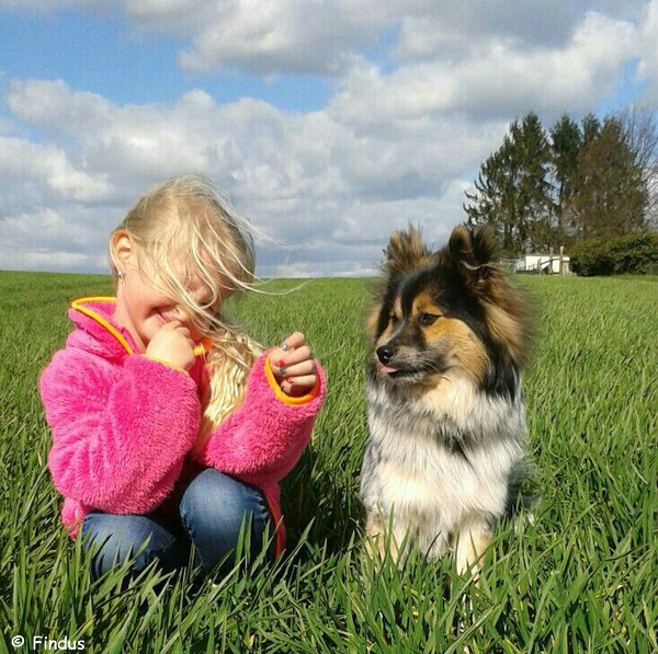 Findus auf der Suche nach Sonne und Osterhase