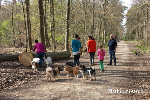 April Spaziergang