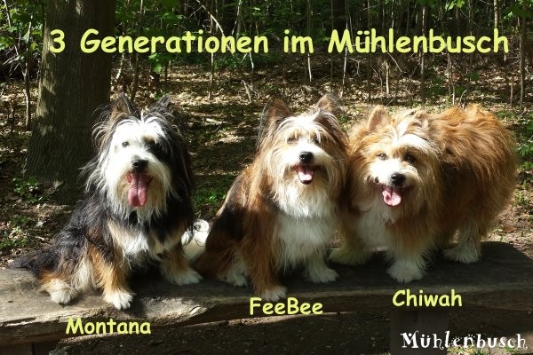 3 Generationen unterwegs im Mühlenbusch