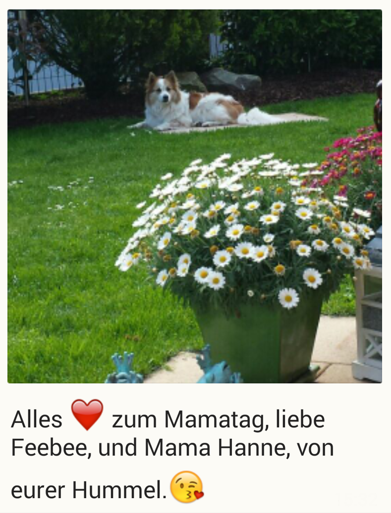 Auch Mary-Lou sendet Grüße