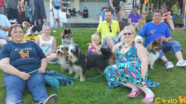 Dog Event 2015