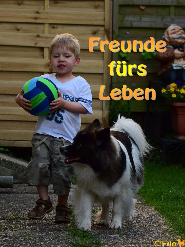 Freunde für’s Leben