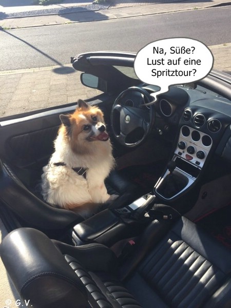 Ari, der Charmeur im Cabrio