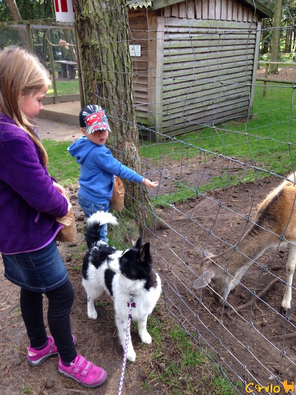Ellis erster Besuch im Tierpark
