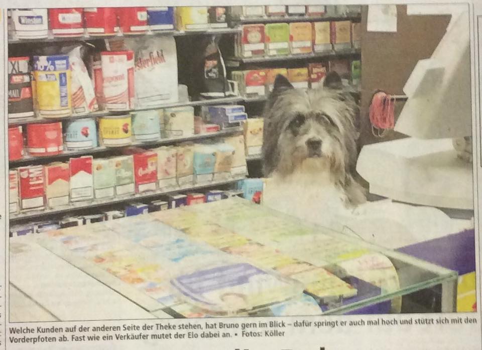 Bruno hat die Ruhe weg