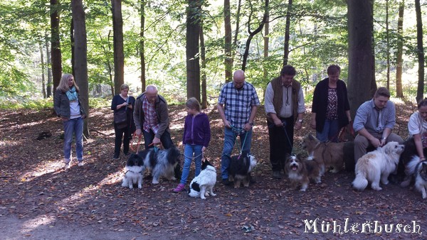 Oktober-Spaziergang im Wald und auf der Wiesn