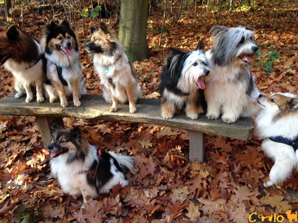 Novemberspaziergang in Herbstsonne