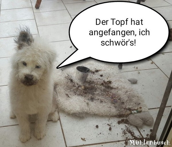 Angriff der Killertöpfe