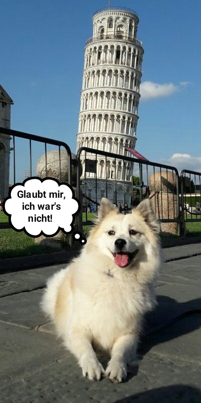 Mila in Pisa
