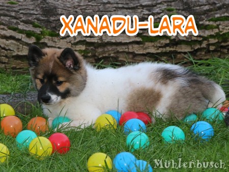 Xanadu-Lara – reserviert