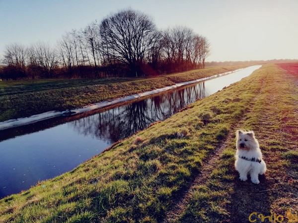 Oskar und das wunderschöne Emsland