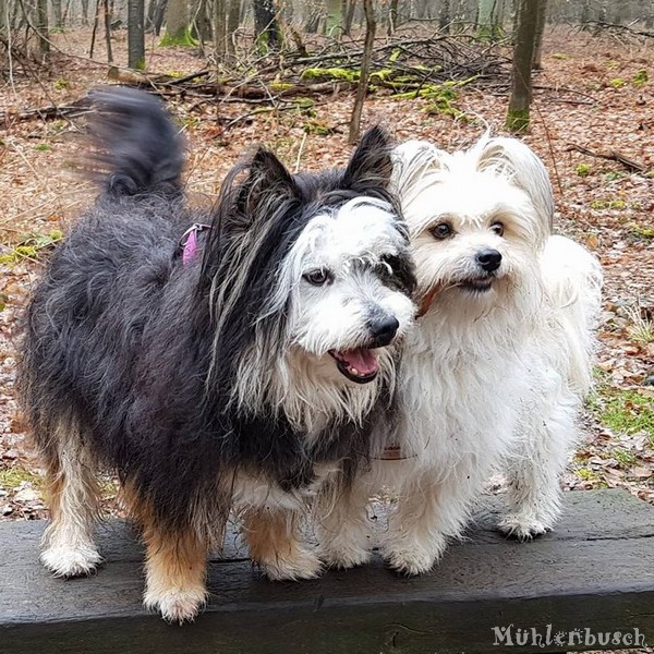 Montana und Nancy auf dem Spaziergang