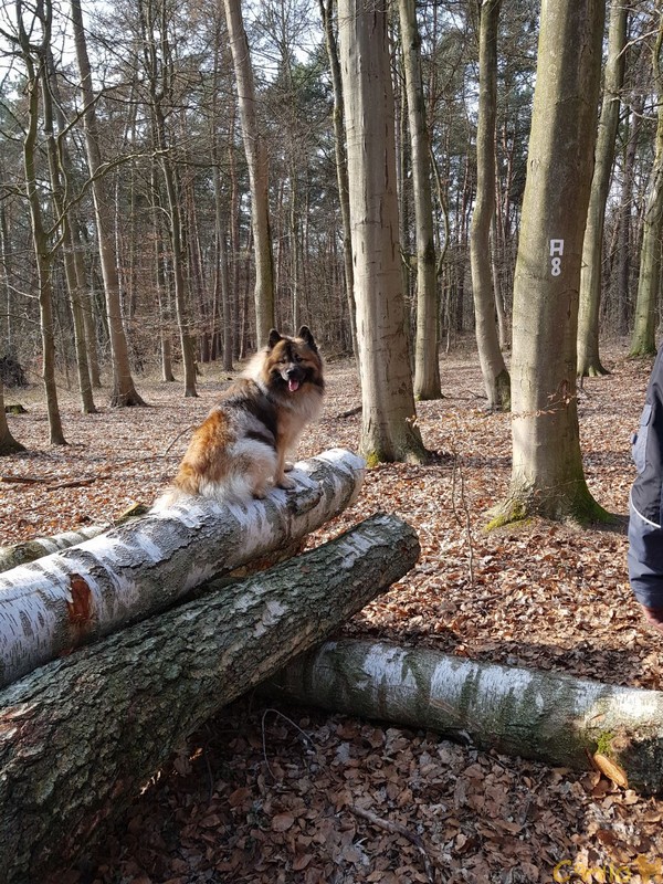 März Spaziergang bei Sonnenschein