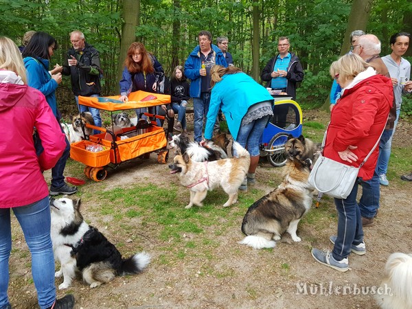 Unser Vatertagsspaziergang im Mühlenbusch war wunderschön!