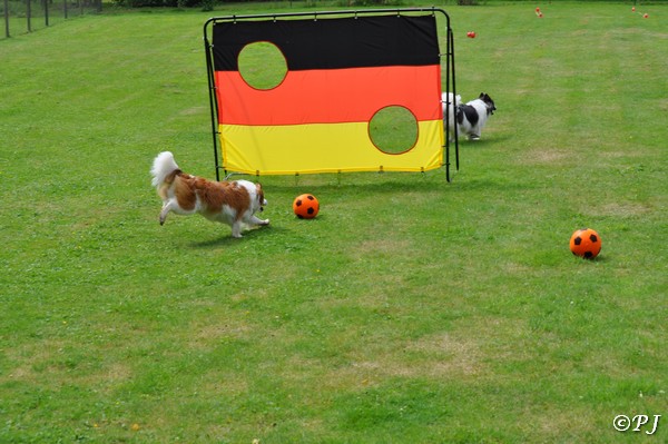 Das Familientreffen der Mühlenbuschler am 24. Juni 2018 war grossartig!