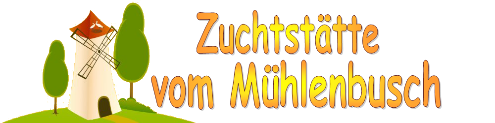 Zuchtstätte vom Mühlenbusch - ein alltagstauglicher Familienhund aus Elo, Canilo oder Rheinländer Hunden als Elterntieren in Rauhaar und Glatthaar