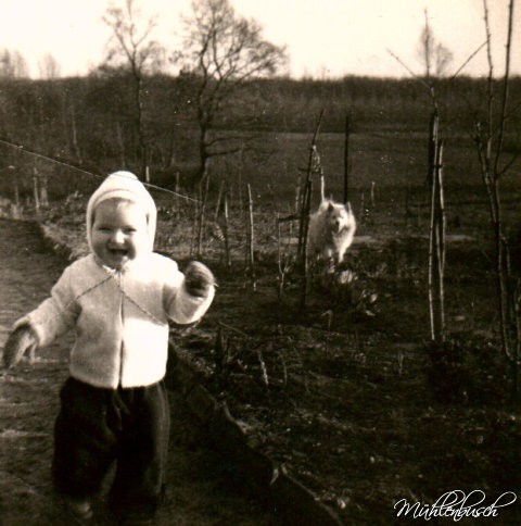 mein weisser Spitz Purzel