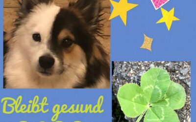 Kimba wünscht Gesundheit