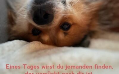 Nico hat etwas zu sagen