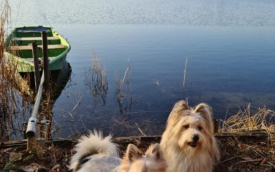 Indy und Iffy on Tour