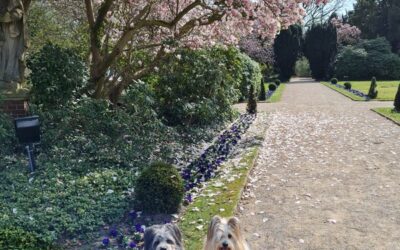 Josy und Lina auf Schloss Berge