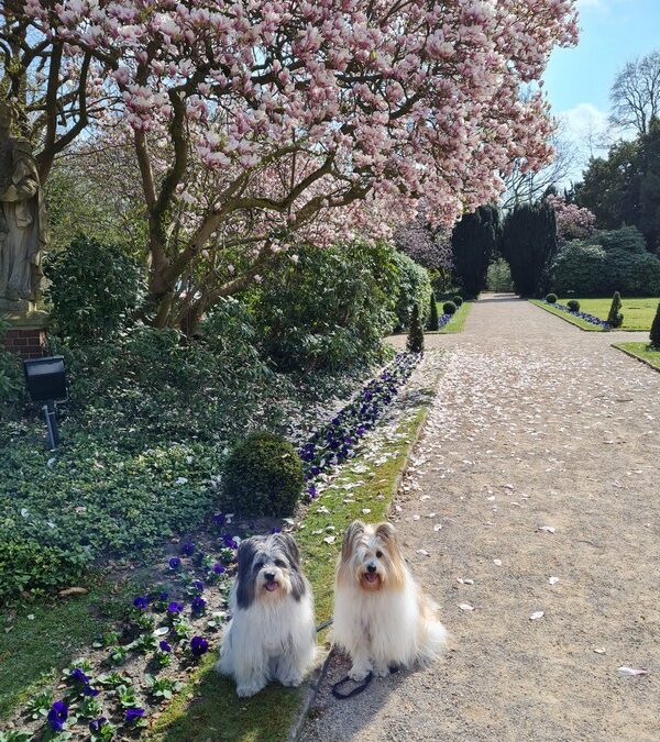 Josy und Lina auf Schloss Berge